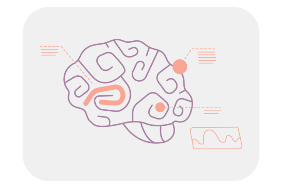 Brain Areas Scan Graphic for Medical Illustrations
